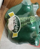 Perrier 巴黎水 法国进口气泡水 0糖0卡0脂 原味矿泉水500ml*6瓶 实拍图