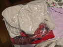 京东洗衣服务衣鞋任洗6件上门取送 干洗服务水洗去渍熨烫杀菌 实拍图
