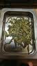 一杯香茶叶绿茶正宗明前早春龙井茶250g2026新茶春茶礼盒装自己喝散装 实拍图