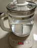 小熊（Bear）养生壶玻璃1.8L大容量智能花茶壶煮水壶家用多功能煮茶壶烧水泡茶壶恒温壶保温一体全自动电热水壶 【无滤网】 长效保温YSH-C18Z5 1.8L 实拍图