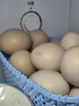 京鲜生 无抗保洁鲜鸡蛋30枚/盒 健康轻食 礼盒送礼 1.5kg/盒 源头直发 实拍图