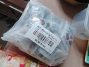 展艺糖纳红豆20g*15包白凉粉冰粉粉蜜豆糕点糖水粽子奶茶烘焙原料 实拍图