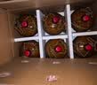 女兒红 精品八年 半干型 绍兴黄酒 1.5L 单坛装 实拍图