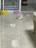 美士猫粮全护营养系列全价成猫猫粮三文鱼配方5kg 实拍图