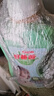 好爸爸（Kispa）除菌除螨除味洗衣液 1.4斤 持久留香 婴孕儿童洗衣可用  实拍图