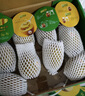 佳沛（zespri）新西兰阳光金果10个装单果重约103-114g 水果礼盒 猕猴桃 实拍图