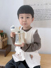 小皮（Little Freddie）米粉高铁有机 婴儿宝宝辅食新鲜营养米糊米粉6到12个月以上 【4到6月初尝】原味高铁有机大米粉 实拍图