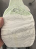 babycare金山茶花拉拉裤XL34片(12-17kg)婴儿尿不湿超薄透气新生柔花苞裤 实拍图