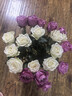 京东鲜花玫瑰花随机颜色20枝(1-2种颜色)40cm基地鲜切花生活花束源头直发 实拍图