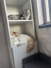 麦富迪猫粮 barf霸弗天然猫粮冻干生骨肉高蛋白成猫粮养胃增肌牛肉5.4kg 实拍图