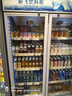 新飞 （Frestec）展示柜冷藏保鲜柜酒水饮料冰柜双开门冷藏柜酒店冷藏保鲜柜超市直冷玻璃门风冷无霜冰箱立式冷柜 大双门蓝白上机900L【4D风冷无霜】【咨询特惠】 实拍图