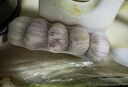 大蒜约250g 实拍图