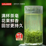 乐品乐茶明前特级碧螺春绿茶2026新茶嫩芽春茶自己喝茶叶礼盒装250g送长辈 实拍图