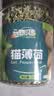 憨憨乐园  猫零食猫薄荷 天然猫薄荷 吐毛球幼猫猫咪零食猫薄荷 猫薄荷20g 实拍图