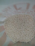 十月稻田 西米 500g 椰浆西米露  奶茶甜品 清补凉 水果捞原料 低脂代餐 实拍图