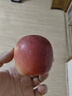 苹果先生Mr Apple 新西兰皇后红玫瑰苹果12粒礼盒单果150g起 源头直发  实拍图
