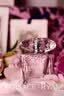 范思哲（VERSACE）粉耀晶钻香水香氛套装(香水+沐浴露+身体乳各50ml）生日毕业礼物 实拍图