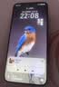 荣耀X70 12+512 朱砂红 金标十面抗摔 80W无线超级快充 IP69防水 AI手机【赠话费券】国家补贴 实拍图