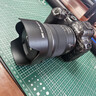 佳能（Canon）R62微单相机 vlog拍摄直播4K视频 r62人像风光旅游拍照摄影专业级摄影器材 r6二代全画幅微单 机身 实拍图