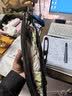 派保爵男士手包头层牛皮柔软手抓包休闲多功能手拿包信封包生日礼物 实拍图