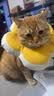 伟嘉主食猫罐头软包 猫主食餐包湿粮 进口成猫妙鲜包85g*12混合味 实拍图