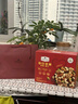 Member's Mark 法国进口 勃艮第黑皮诺红葡萄酒 750ml 750mL 实拍图