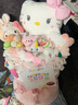 AWHAHelloKitty玩偶花束库洛米卡通毛绒玩偶花束生日礼物送女朋友 糖果色hellokitty玩偶花束+礼袋灯串 实拍图