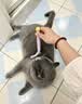 JKULNING宠物开结梳猫咪狗狗去浮毛打薄刷毛不锈钢梳子去底绒开结刀 实拍图
