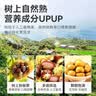 京东京造鲜来多100%有机板栗仁500g/10袋即食糯叽整颗栗子长辈滋补 团购礼 实拍图