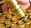 百威黑金啤酒500ml*12整箱装焦香醇厚京东自营踏春送礼 实拍图