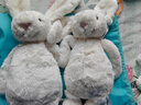 Jellycat害羞乳白色邦尼兔动物毛绒玩偶安抚玩偶娃娃送礼520礼物 害羞乳白色邦尼兔礼盒装 Medium 实拍图
