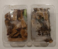 京东京造 一次性饭盒餐盒打包食品级可微波方形带盖烧烤露营900ml【50套】 实拍图