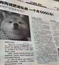 备能白点净鱼药小瓜虫病小型鱼锦鲤鹦鹉金鱼水霉白毛白嘴烂身烂尾擦缸 实拍图