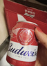 百威红罐啤酒淡色拉格330ml*24听整箱装京东自营踏春送礼 实拍图