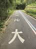 得力自行车锁四位密码锁电动电瓶车防盗公路山地单车锁玻璃门链条锁 实拍图