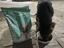 凯锐思德牧狗粮 专用幼犬成犬大型犬黑背警犬狼狗犬粮 2kg*10囤货装 实拍图