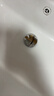 四季沐歌（MICOE）洗手盆下水管弹跳下水器套装洗脸池台盆管墙排W09-M1 实拍图