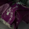 伟嘉成猫猫粮1.3kg牛肉味布偶蓝猫橘猫加菲英短猫咪夹心粮全价粮 实拍图
