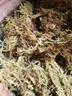 劉閣蘭花兰花苗 香妃 有香味的夏带花苞出售室内外花卉绿植盆栽草观花植物 4苗加盆土肥，说明书 实拍图
