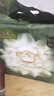 babycare金山茶花纸尿裤NB68片(<5kg)新生儿婴儿尿不湿超薄透气轻柔花苞裤 实拍图