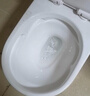 九牧王马桶坐便器家用虹吸式大口径冲力潮州卫生间静音节水防溅马桶坐厕 镇店款【双浅水区】10.0大管径 400mm 免费送货入户 实拍图