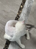 ERGOBABY宠物剃毛器狗狗猫咪推子电推剪脚毛修剪理发器全身推毛器用品白银 实拍图