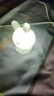 卡通小夜灯房间可爱少女心氛围灯生日礼物送女孩子儿童发光小玩具 腮红兔/小号 配3颗电池 实拍图