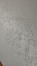 三棵树漆（SKSHU）墙面修补滚筒漆去污神器翻新清洁涂鸦修复防水速干乳胶漆白色500g 实拍图