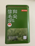 京东京造鲜来多26新茶信阳毛尖绿茶250g明前茶叶栗香嫩芽送礼盒自己喝自营 实拍图
