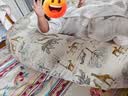 小白豚斜坡枕婴儿防吐奶可躺喂奶神器新生儿睡觉用枕头垫抬头大号五个月 豪华版 （A类品质）健康萌熊内胆+长颈鹿枕套（带凉感） 实拍图