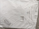 立蒙（LIMENG）男女装素色180g全棉短袖t恤圆领宽松体恤打底衫 白色 L 实拍图