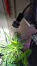 光联天下夹子植物生长灯led全光谱桌面绿植盆栽花卉植物补光多头软管射灯 10W单头【全光谱5000K】Pro 夹子植物灯 实拍图