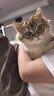 京东京造 冻干双拼全价猫粮10kg鱼肉味 全阶段成猫幼猫[新老包装随机发货] 实拍图