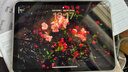 绿联适用iPad11钢化膜A16芯片11英寸2025款高清膜11/10十代Apple苹果平板电脑屏幕全屏防摔保护贴膜 实拍图